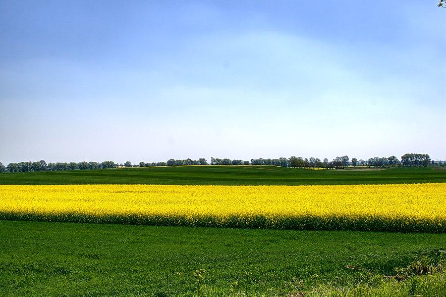 Między Obrytą a Starym Przylepem