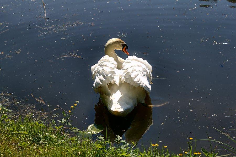 On był samotny i mnie gonił :)