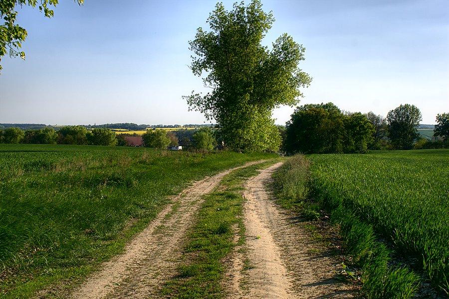 Na skróty do Żukowa