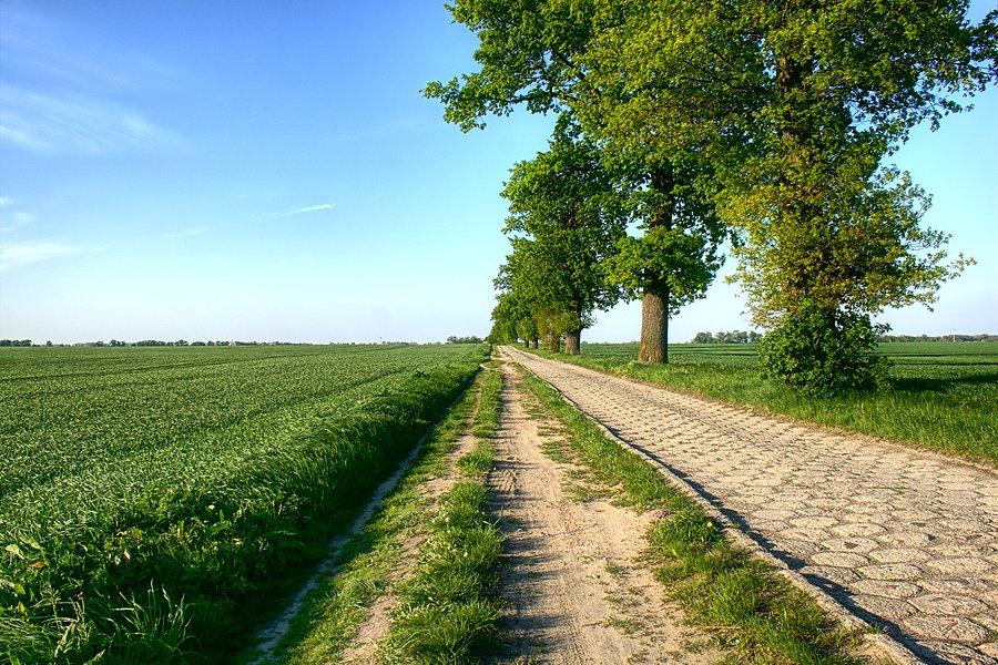 Droga z Żalęcina do Szemielina