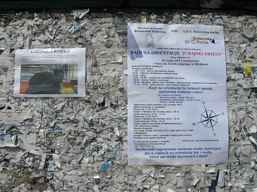 Plakaty rozwieszone
