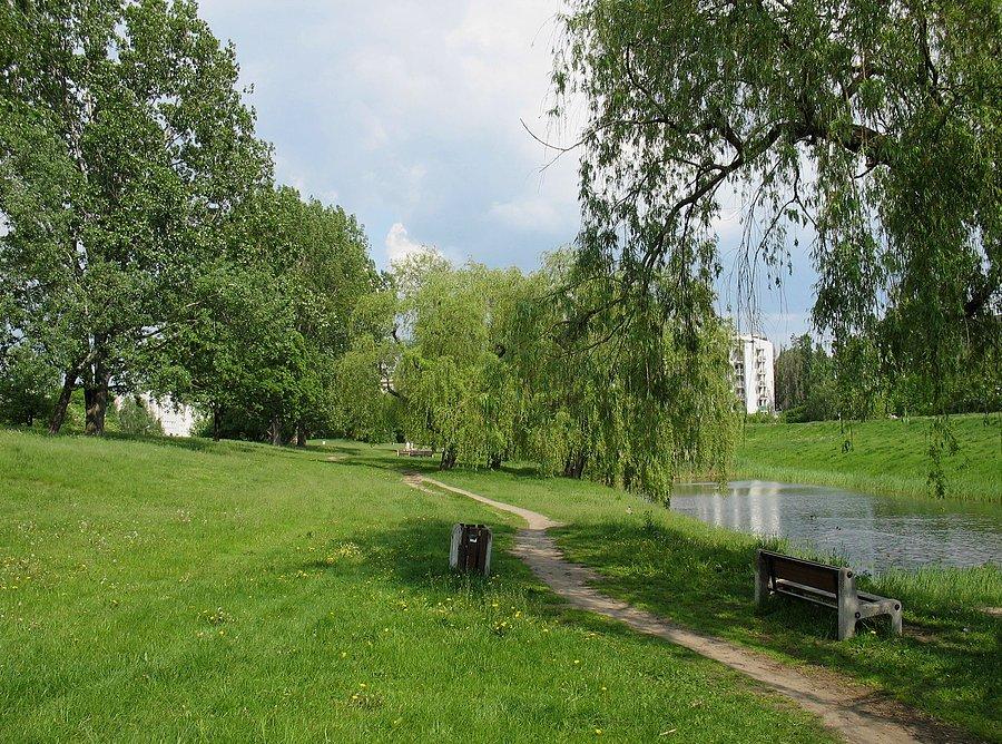 Fosa przy ul. Idzikowskiego