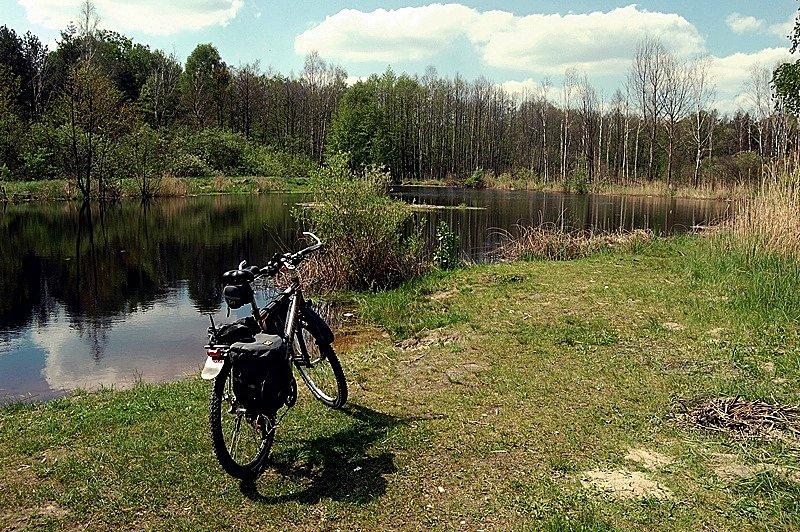 Balaton w środku Bolimowskiego Parku Krajobrazowego