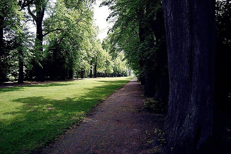 Park w Nieborowie