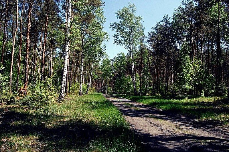 Na trasie