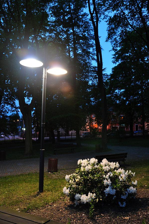 Klimatyczny Park Jasnogórski wieczorem i biały rododendron
