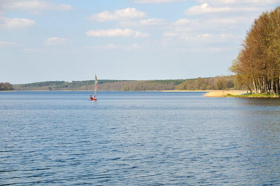 Siecino wiosną