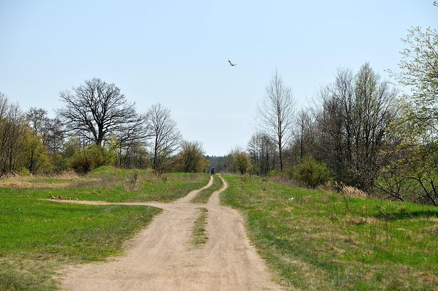 Jadę dalej ścieżką rowerową