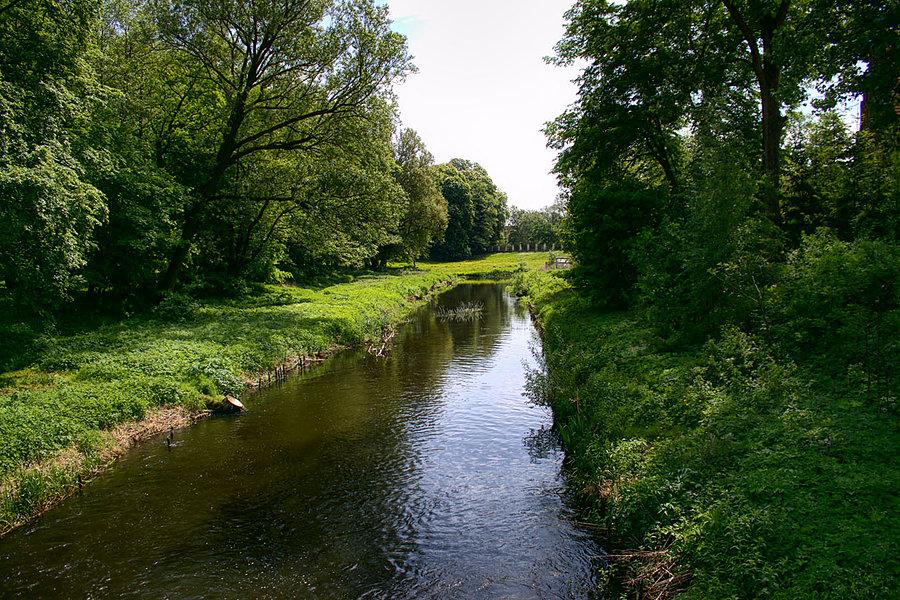 Rzeka Krąpiel w Pęzinie