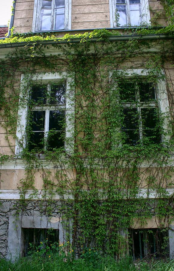 Pałac _ Barzkowice