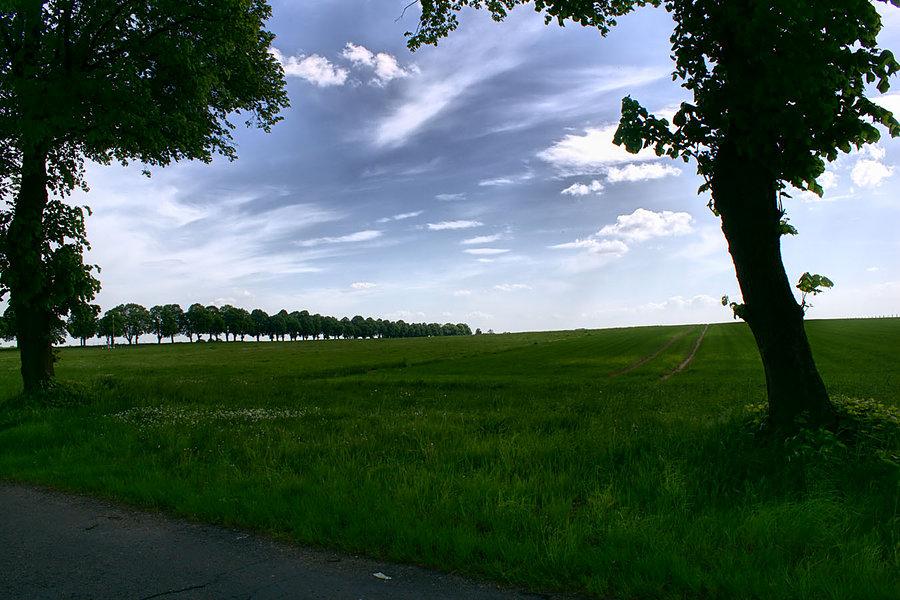 Teren na którym odbywa się Agro Pomerania, duże targi rolne
