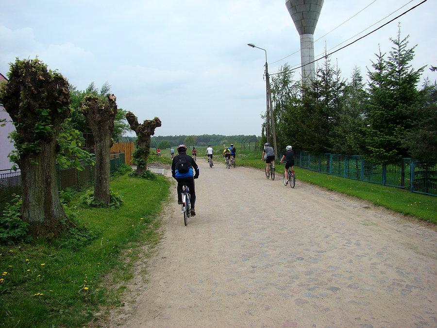 Wracamy do puszczy