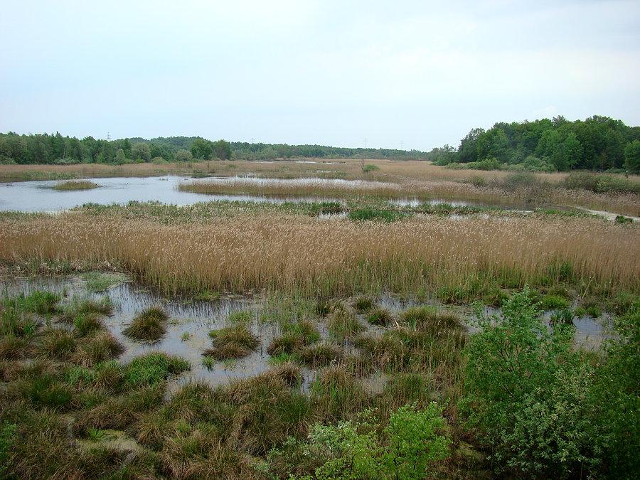 Widok z wiezy
