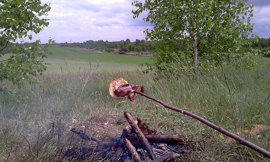 Lunch