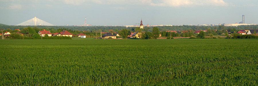 Widok z Brzeziny w stronę Wrocławia