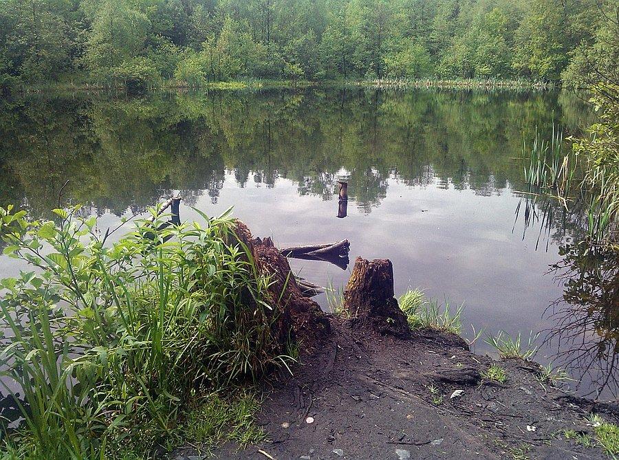 Jezioro Goślickie