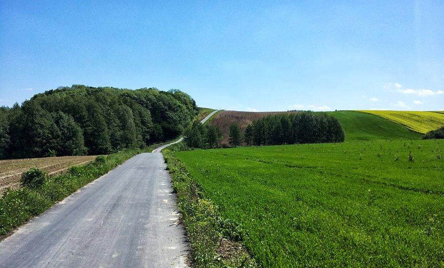 Podjazd - widok ogólny