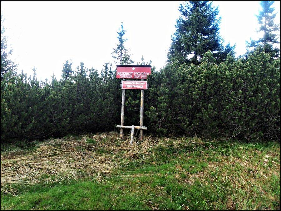 Rezerwat Przyrody Torfowiska Doliny Izery