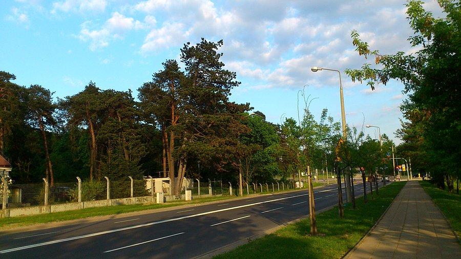 Gościńczyk