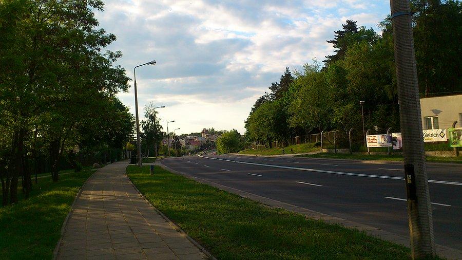 Gościńczyk