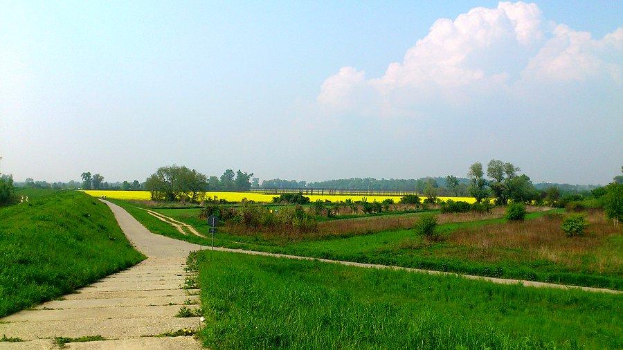 Wzdłuż Wisły