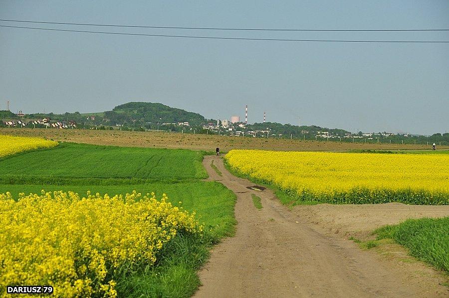 Przełajka - Droga w strona CZeladzi i Będzina