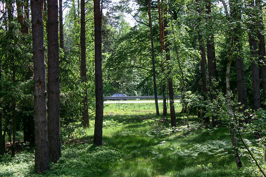 Droga nr 10 obok przebiega