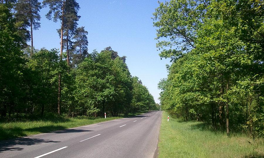 Lato w pełni