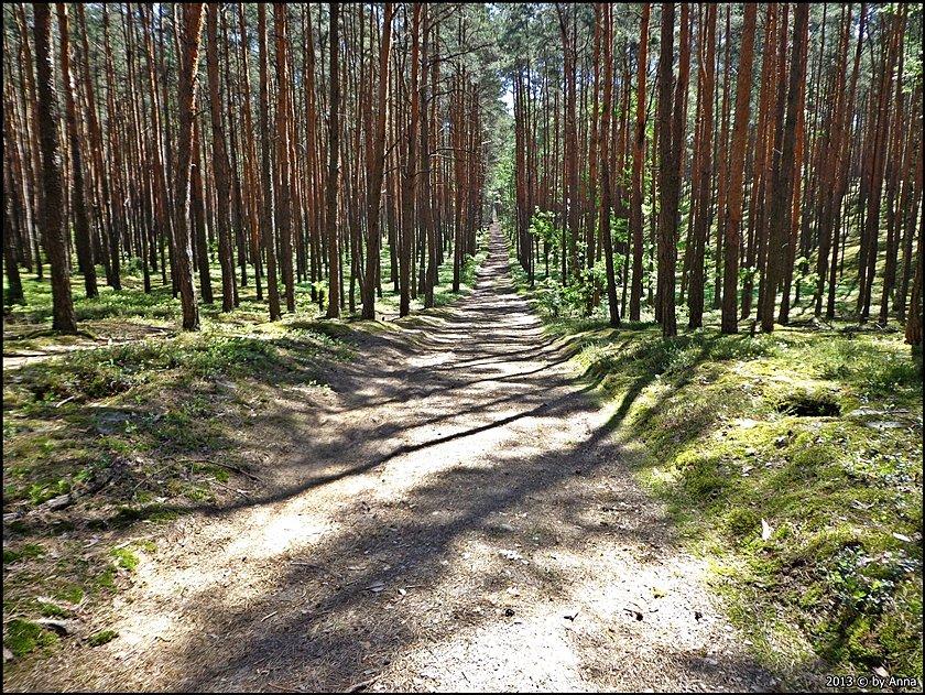 No to hop z górki!