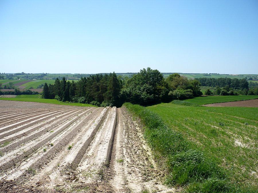 Stamtąd przyszliśmy