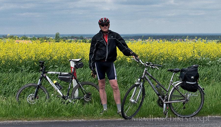Kajman wśród rzepaku