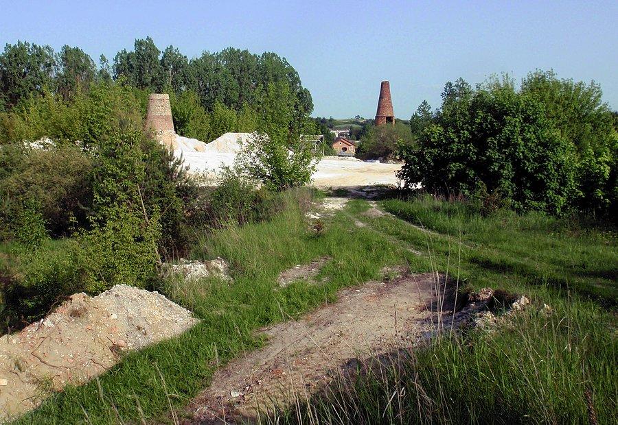 Wapienniki w Działoszynie