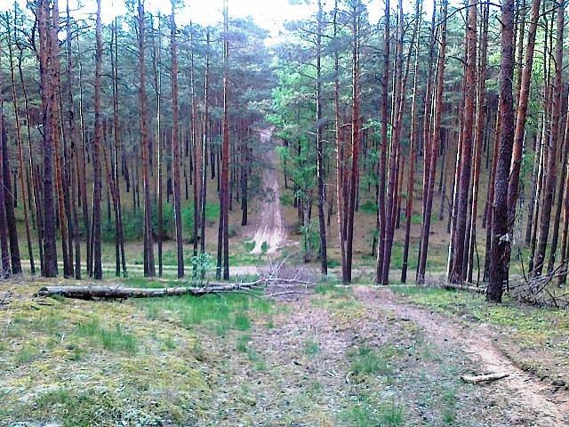 Zjazd do wąwozu