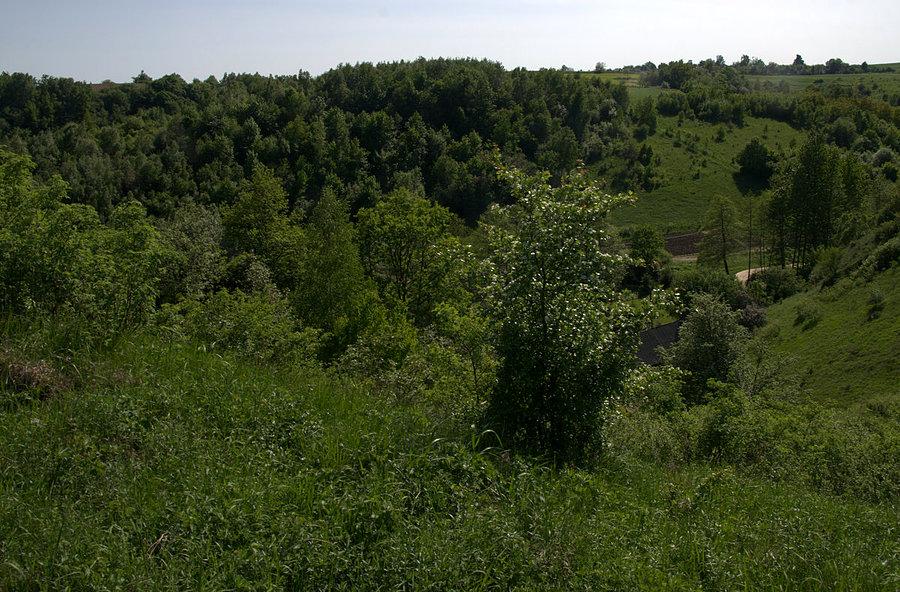 Dowcipne rozmieszczenie PK