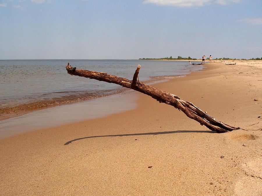 Plaża w Świbnie