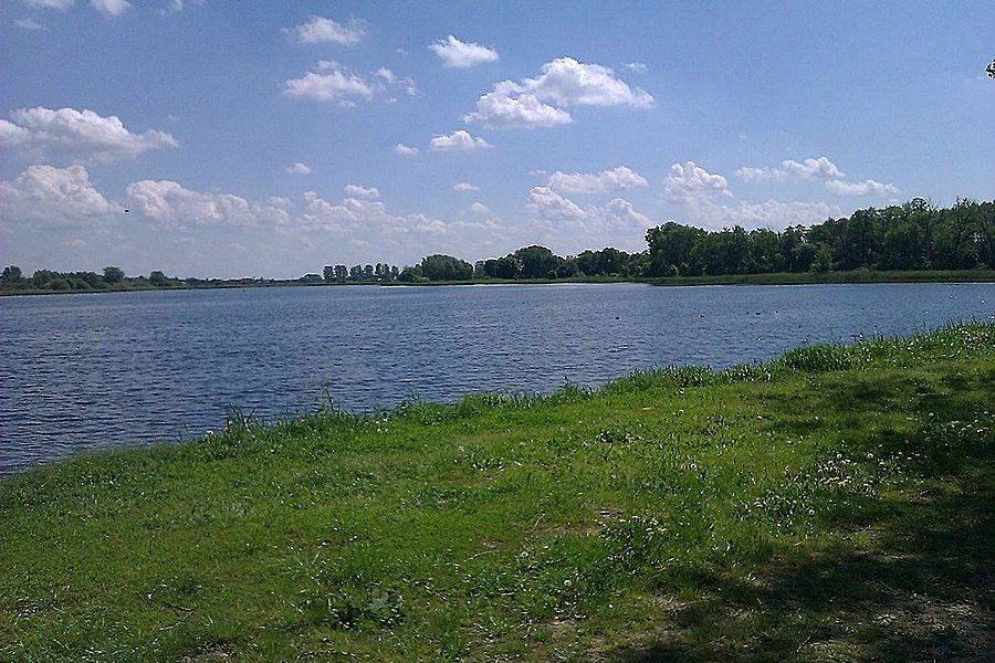 Stawy raszyńskie