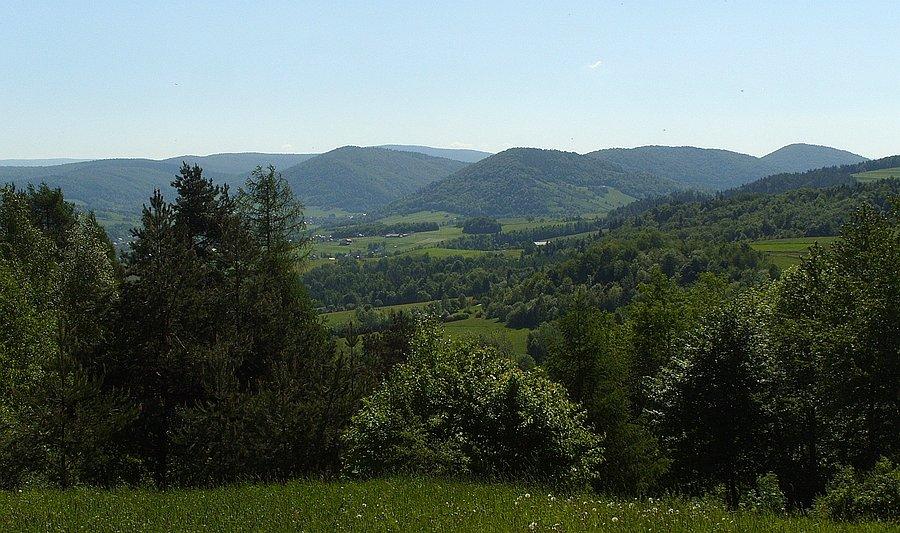 Pieniny Gorlickie w tle