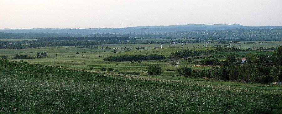 Wiatraczki gdzieś w dole