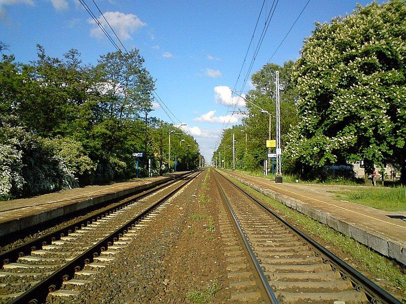 Promno - torów końca nie widać