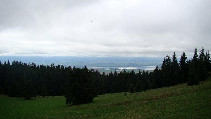 Widok z podjazdu