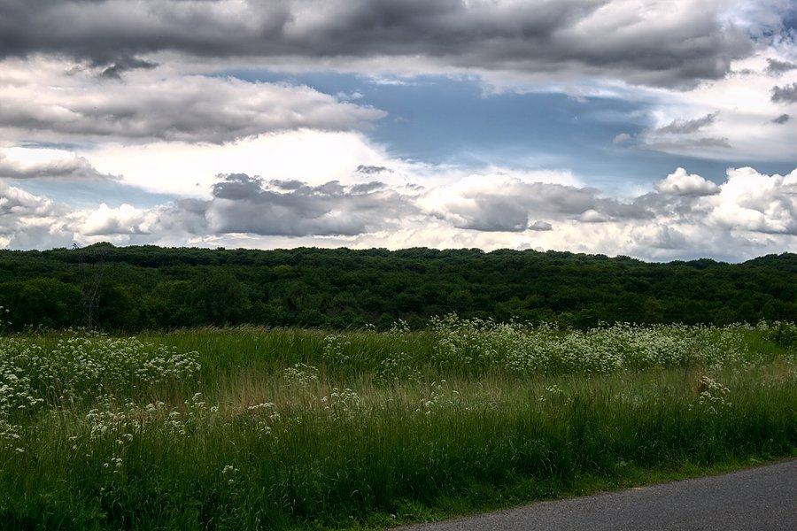 Widok na Puszczę Bukową