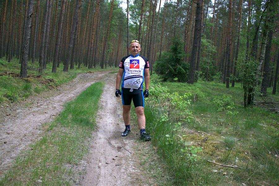 Gdzieś w lesie między Zdunowem a Niedźwiedziem
