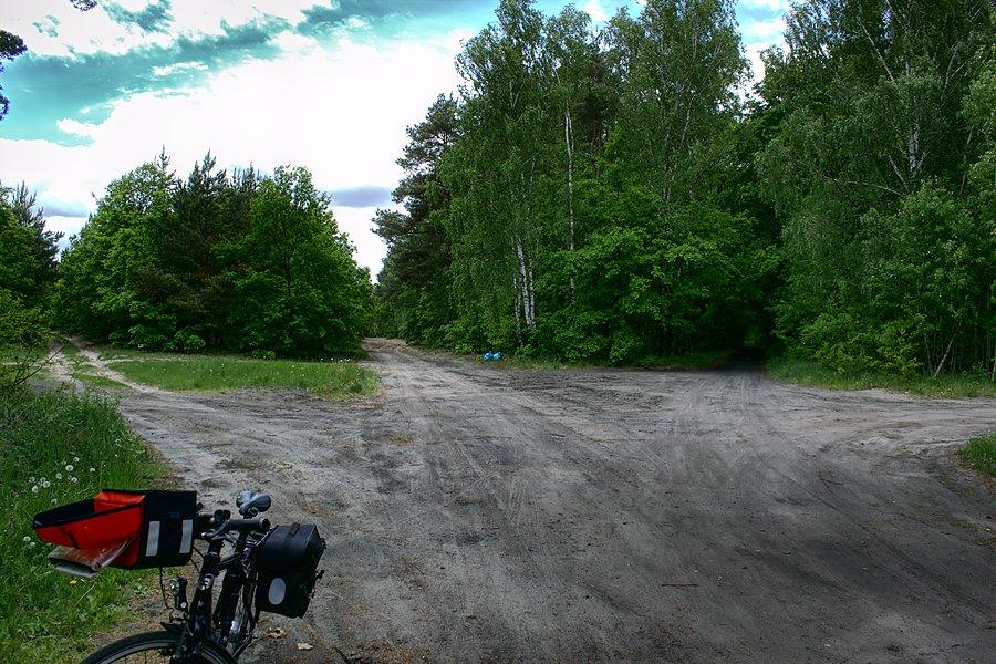 Droga za Niedźwiedziem w prawo skos między brzozami to ta właściwa :)
