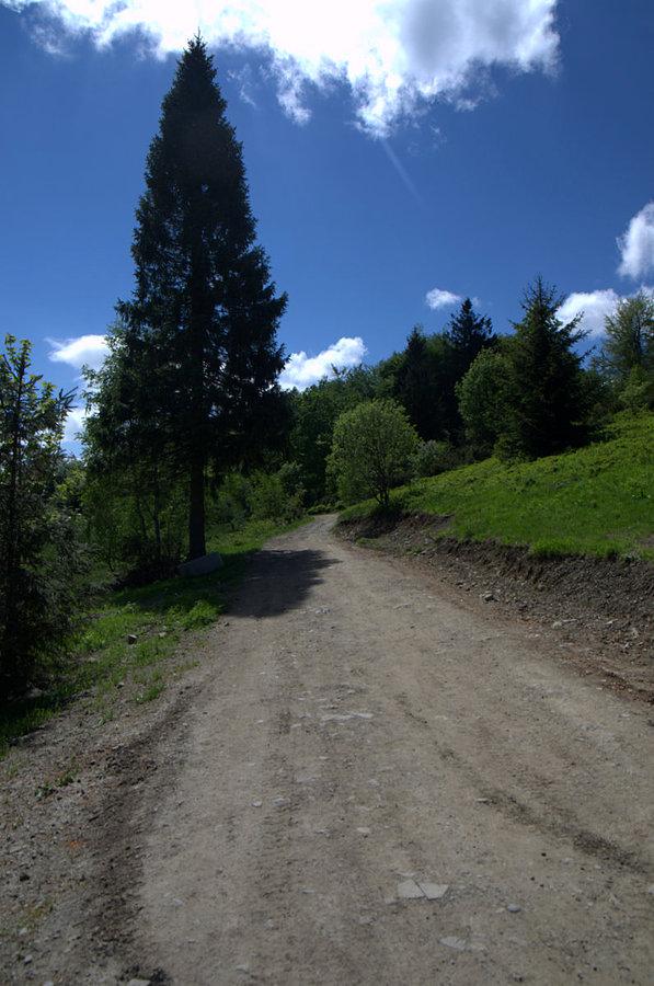 W drodze na groń JPII - beskid mały