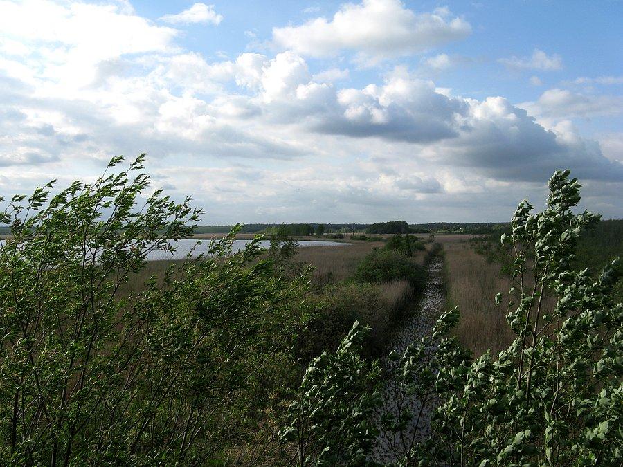 Rezerwat Świdawie