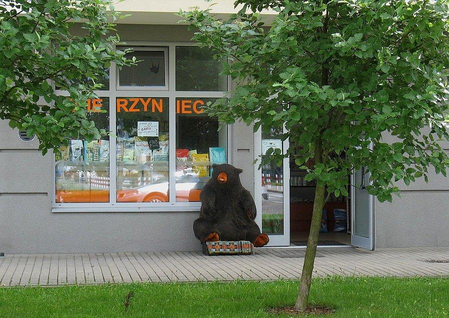 Misio z Kabackiego Duktu