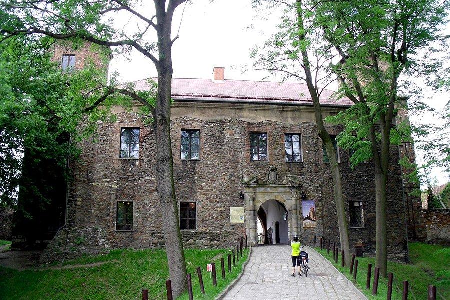 Zamek w Toszku