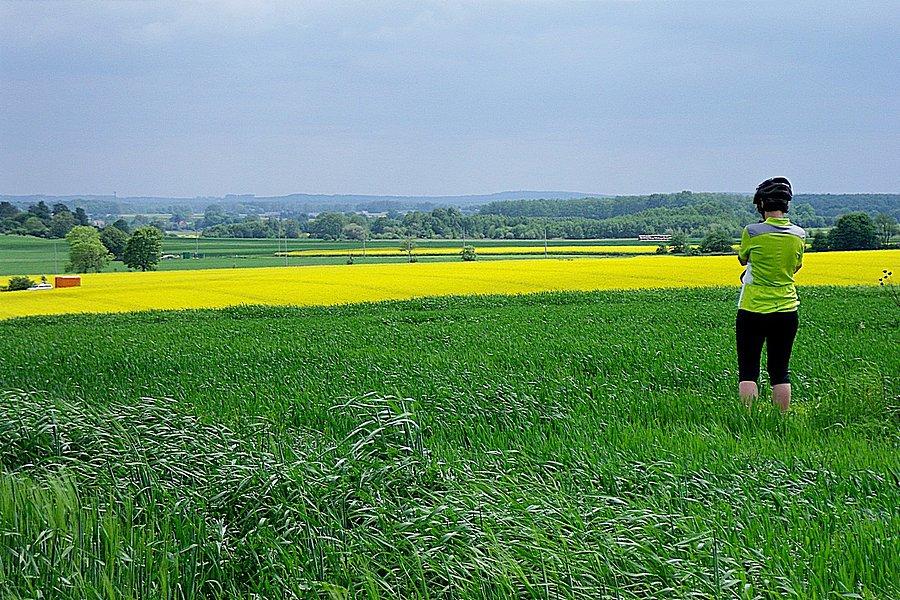Wszędzie żółto