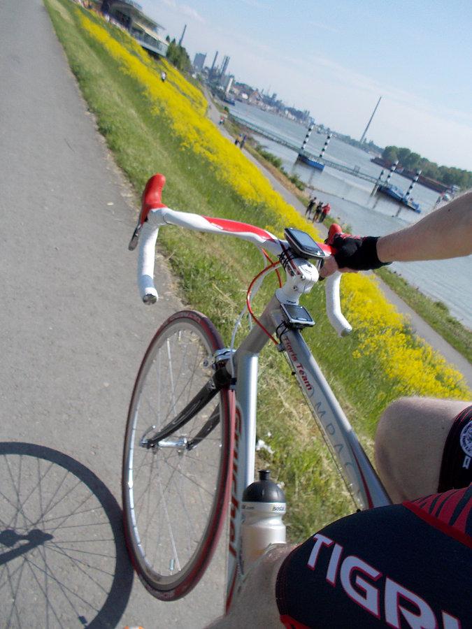 Duża D-K-D Rhein runda