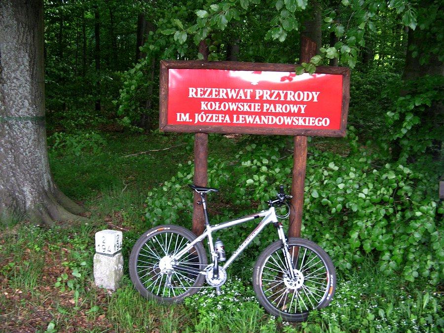 Rezerwat za Kołowem